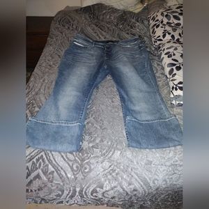 Judy blue plus size jeans
